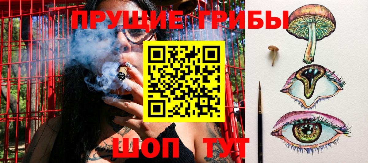 Галлюциногенные грибы Cubensis Усинск